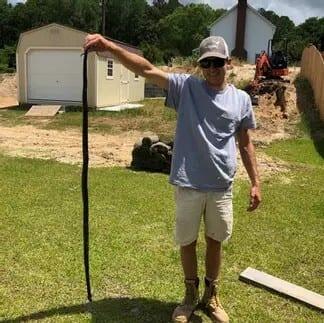 Snake found while working on french drains