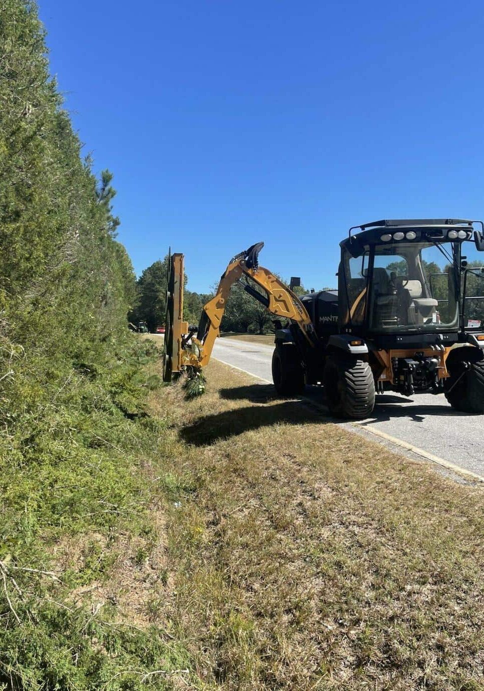 mantis-side of the road clearing